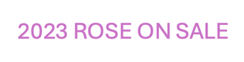 2023 Rosé of Cabernet Sauvignon